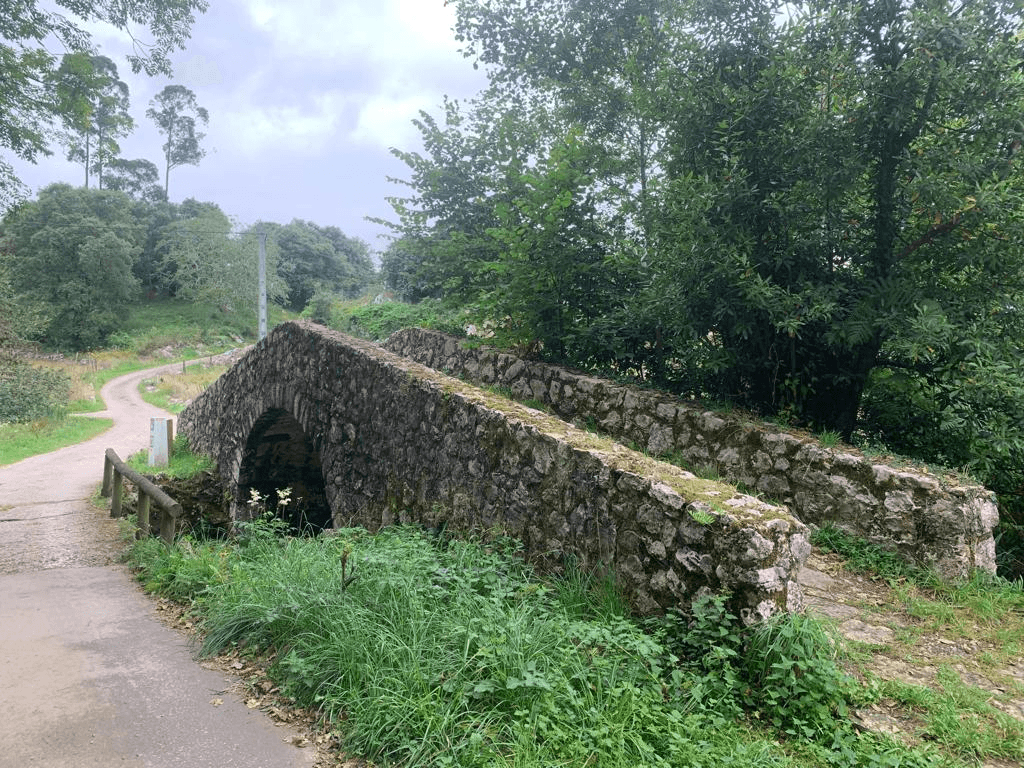 The pathway
