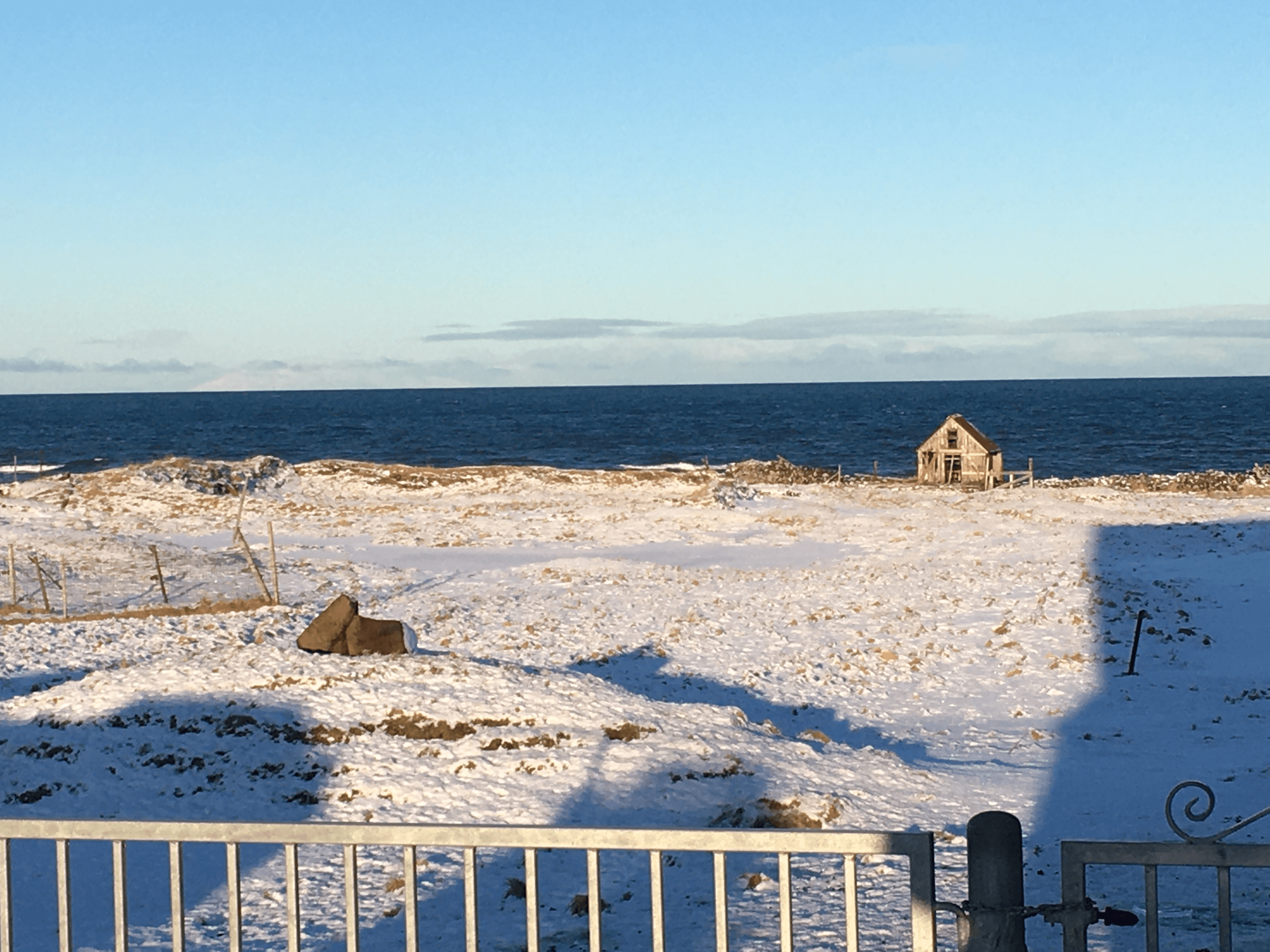 Egil’s Saga in Reykjavik
